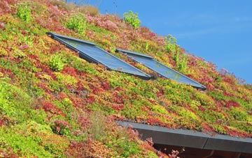 Ferndale living roof systems